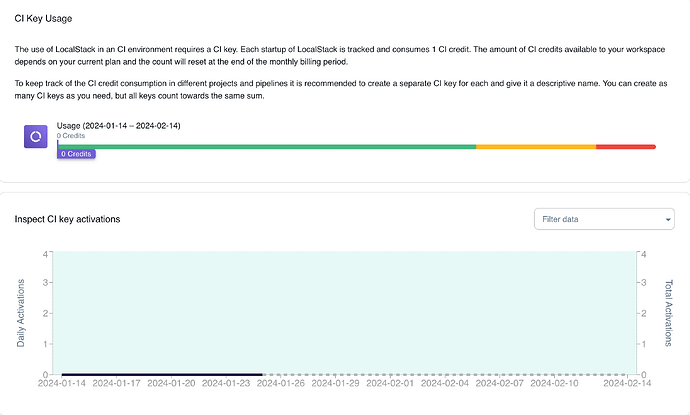 CI key Usage inspection